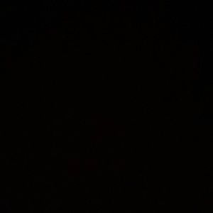 Meet your Posher, Rosa